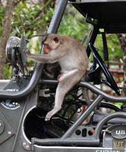 Load image into Gallery viewer, Can Gio Biosphere Reserve & Guerilla Base Jeep Tours VJT Adventures