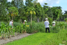 Load image into Gallery viewer, Cooking Class & Cu Chi Tunnels Jeep Tours VJT Adventures