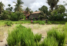 Load image into Gallery viewer, Countryside Kompong Khleang by Jeep Cambodia Jeep
