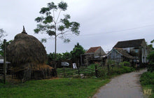 Load image into Gallery viewer, Countryside Of Hoian On The Jeep Jeep Tours VJT Adventures