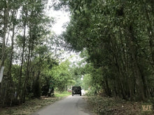 Load image into Gallery viewer, Danang / Hoian – Hue Via The Coastal Route Jeep Tours VJT Adventures