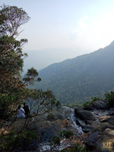 Load image into Gallery viewer, Hiking Bach Ma National Park Jeep Tours VJT Adventures