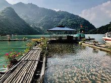 Load image into Gallery viewer, Northern Classic: Hanoi-Mai Chau-Ninh Binh-Lan Ha Bay Jeep Tours VJT Adventures