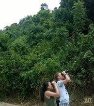 Load image into Gallery viewer, Peaks Of Danang Jeep Tours VJT Adventures