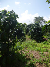 Load image into Gallery viewer, Self-driving Through Indochina: Cambodia - Laos - Vietnam Jeep Tours VJT Adventures