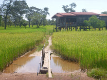 Load image into Gallery viewer, Self-driving Through Indochina: Cambodia - Laos - Vietnam Jeep Tours VJT Adventures