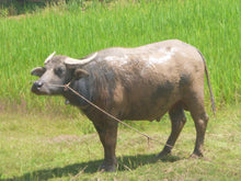 Load image into Gallery viewer, Self-driving Through Indochina: Cambodia - Laos - Vietnam Jeep Tours VJT Adventures