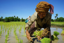 Load image into Gallery viewer, Self-driving Through Indochina: Cambodia - Laos - Vietnam Jeep Tours VJT Adventures
