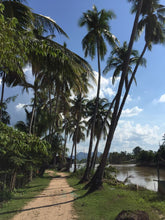 Load image into Gallery viewer, Self-driving Through Indochina: Cambodia - Laos - Vietnam Jeep Tours VJT Adventures