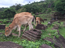 Load image into Gallery viewer, Self-driving Through Indochina: Cambodia - Laos - Vietnam Jeep Tours VJT Adventures
