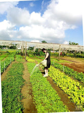 Load image into Gallery viewer, The Central: Danang – Hoian – Hue Jeep Tours VJT Adventures