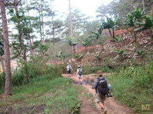 Load image into Gallery viewer, Trekking & Camping at Nui Chua & Bidoup National Parks Jeep Tours VJT Adventures