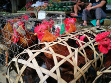 Load image into Gallery viewer, Vietnam - Laos Border Crossing Road Trips VJT Adventures