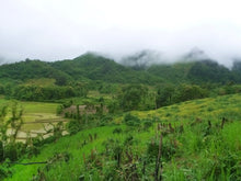 Load image into Gallery viewer, Vietnam - Laos Border Crossing VJT Adventures