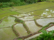 Load image into Gallery viewer, Vietnam - Laos Border Crossing VJT Adventures