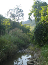 Load image into Gallery viewer, Vietnam - Laos Border Crossing VJT Adventures