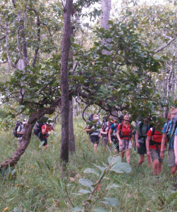 Yok Don National Park