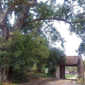A Day In Hanoi’s Countryside Jeep Tours VJT Adventures 