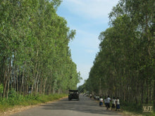 Load image into Gallery viewer, Angkor Archeological Park Jeep Tours Cambodia Jeep 
