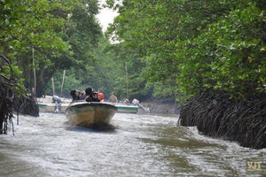 Can Gio Biosphere Reserve & Guerilla Base Jeep Tours VJT Adventures 