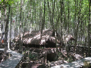 Can Gio Biosphere Reserve & Guerilla Base Jeep Tours VJT Adventures 