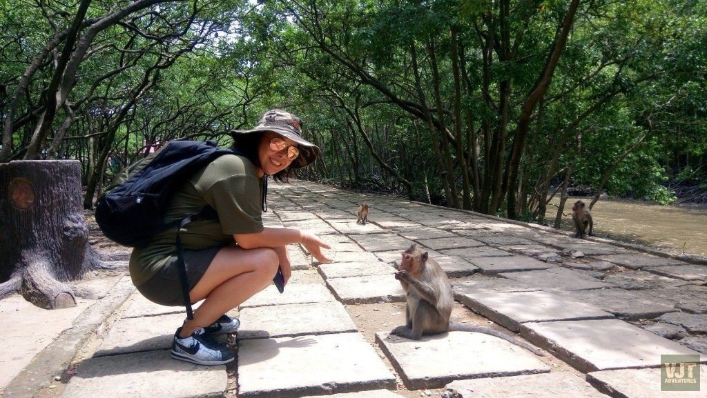 Can Gio Biosphere Reserve & Guerilla Base by Jeep – Vietnam Jeep Tours ...