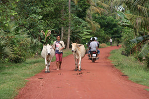 Countryside Kompong Phluk by Jeep Cambodia Jeep 