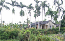 Load image into Gallery viewer, Countryside Of Hoian On The Jeep Jeep Tours VJT Adventures 
