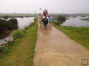 Countryside Of Hoian On The Jeep Jeep Tours VJT Adventures 
