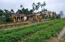 Load image into Gallery viewer, Countryside Of Hoian On The Jeep Jeep Tours VJT Adventures 
