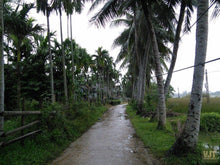 Load image into Gallery viewer, Countryside Of Hoian On The Jeep Jeep Tours VJT Adventures 
