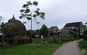 Countryside Of Hoian On The Jeep Jeep Tours VJT Adventures 