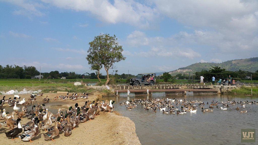 Countryside Of Nha Trang Jeep Tours Jeep it up! 