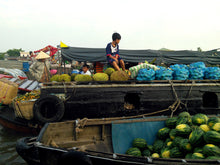 Load image into Gallery viewer, CYCLING MEKONG DELTA: Ben Tre- Can Tho – Vinh Long Jeep Tours VJT Adventures 
