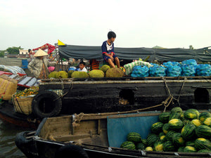 CYCLING MEKONG DELTA: Ben Tre- Can Tho – Vinh Long Jeep Tours VJT Adventures 