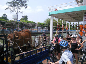 CYCLING MEKONG DELTA: Ben Tre- Can Tho – Vinh Long Jeep Tours VJT Adventures 