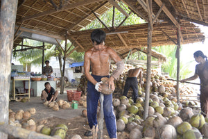 CYCLING MEKONG DELTA: Ben Tre- Can Tho – Vinh Long Jeep Tours VJT Adventures 