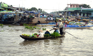 CYCLING MEKONG DELTA: Ben Tre- Can Tho – Vinh Long Jeep Tours VJT Adventures 