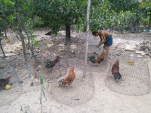 Load image into Gallery viewer, CYCLING MEKONG DELTA: Ben Tre- Can Tho – Vinh Long Jeep Tours VJT Adventures 
