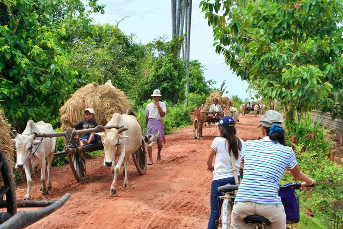 Discover The Countryside by Jeep Cambodia Jeep 