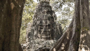 Explore Angkor Wat Jeep Tours VJT Adventures 