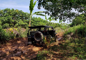 Half-day Kampong Khleang Cambodia Jeep 