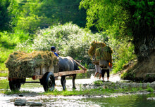 Load image into Gallery viewer, Hanoi - Mai Chau - Ninh Binh Jeep Tours VJT Adventures 
