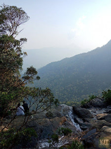 Hiking Bach Ma National Park Jeep Tours VJT Adventures 