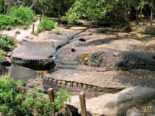 Load image into Gallery viewer, Mythical Kulen Mountain Jeep Tours Cambodia Jeep 
