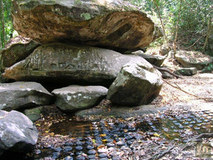 Mythical Kulen Mountain Jeep Tours Cambodia Jeep 