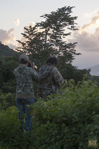 Spotting Wildlife On Monkey Mountain Jeep Tours VJT Adventures 