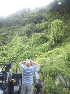 Spotting Wildlife On Monkey Mountain Jeep Tours VJT Adventures 