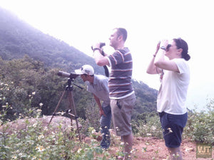 Spotting Wildlife On Monkey Mountain Jeep Tours VJT Adventures 