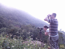 Load image into Gallery viewer, Spotting Wildlife On Monkey Mountain Jeep Tours VJT Adventures 
